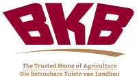 BKB Bilingual (Transparent)